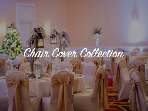 Elegant Chair Cover Designs